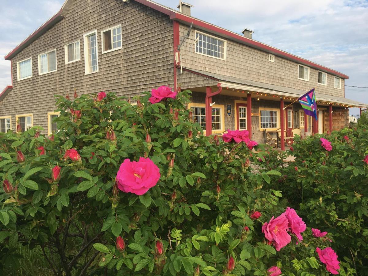 Auberge Cafe Acadien Bonaventure Εξωτερικό φωτογραφία
